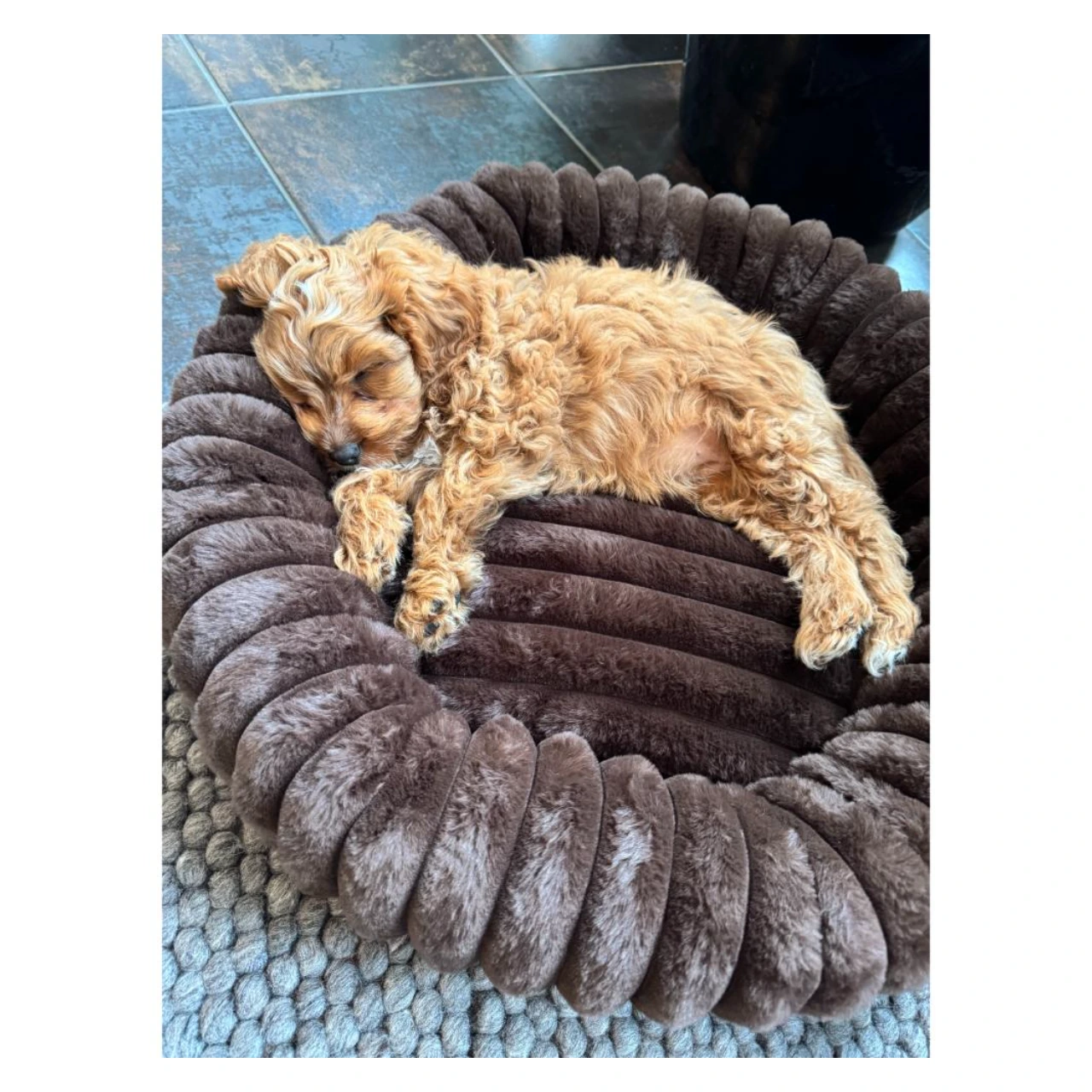 Nordic Paws Ripple Comfort hundeseng M Espresso 76,5 x 76,5 x 18,5 cm